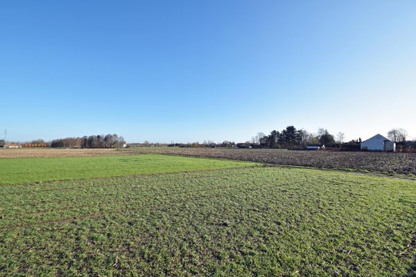 Grond te koop in Drongen