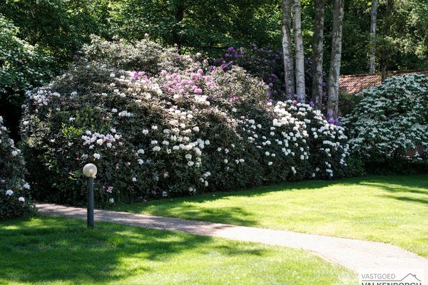 Huis te koop / Heusden-Zolder