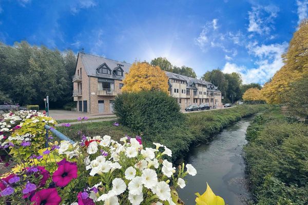 Appartement
                            a vendre in Court-Saint-Etienne