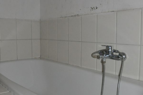 Appartement te huur / Hulste