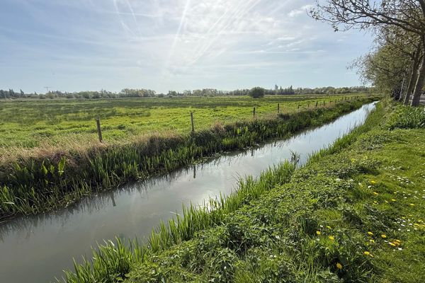 Bouwgrond te koop in Drongen