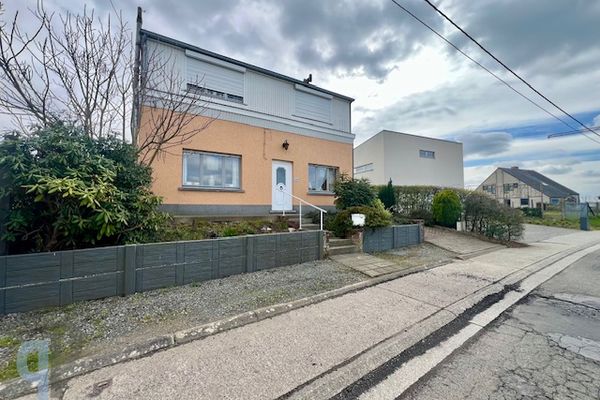 Woning
                            te koop in Zottegem