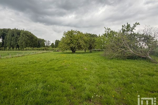 Huis te koop / Heers