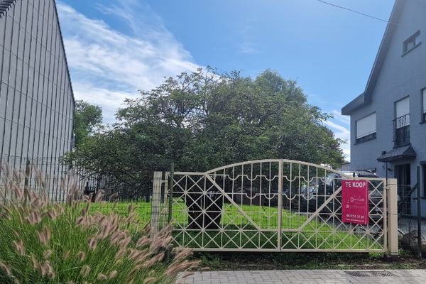 Bouwgrond
                            te koop in Zele