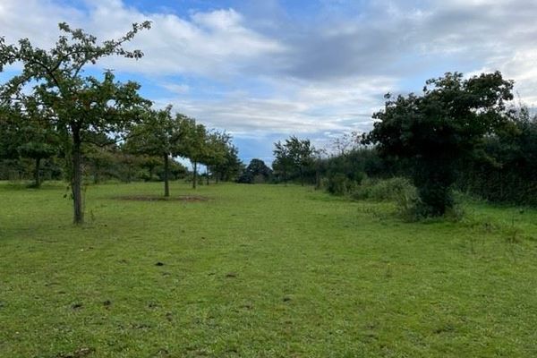 Grond te koop / Loksbergen