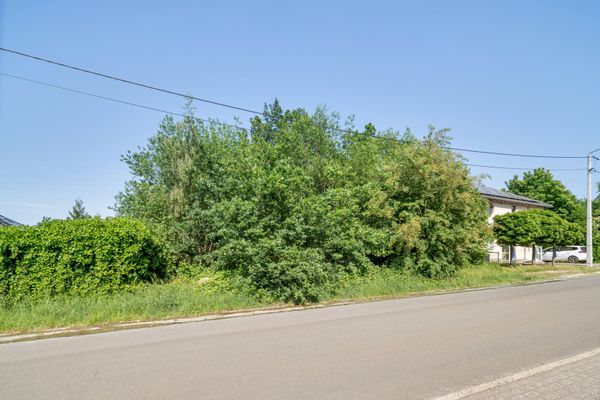 Estate main image