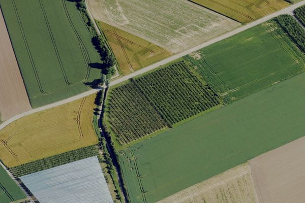 Grond te koop / Sint-Truiden