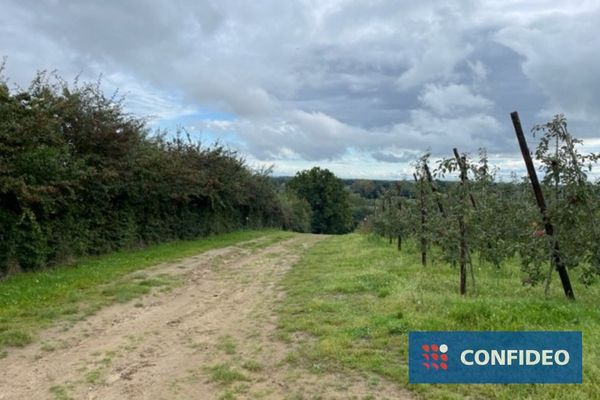 Landbouwgrond
                                te koop in Loksbergen