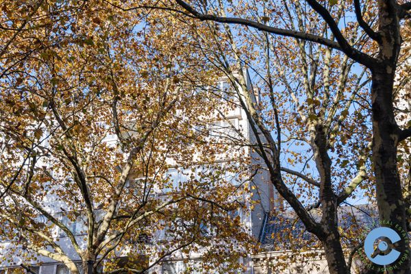 Appartement te koop / Antwerpen