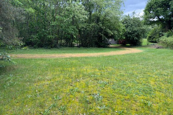 Grond te koop / Genk