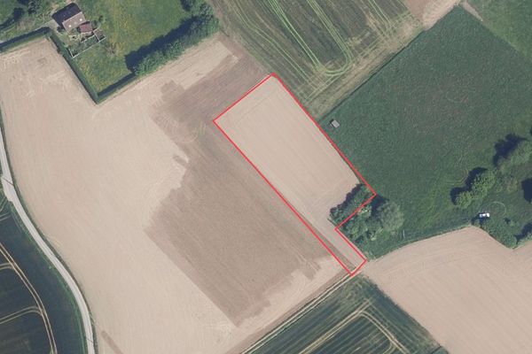 Landbouwgrond
                            te koop in Herfelingen