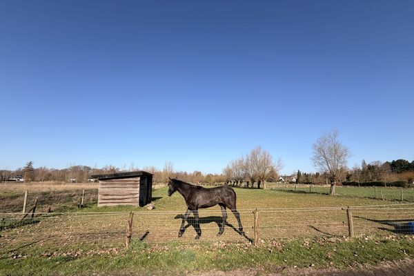 Landbouwgrond
                            verkocht in Heusden