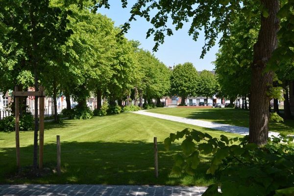 Commercieel te koop / Drongen