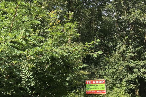 Recreatiegrond
                            te koop in Westmeerbeek