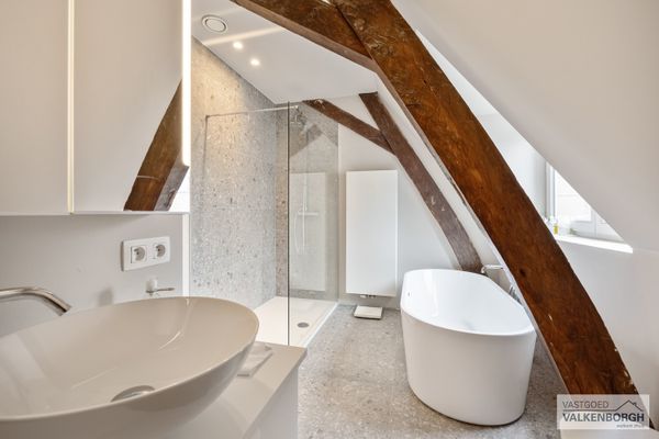 Commercieel te koop / Hasselt