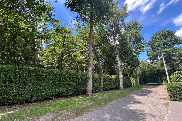 Bosgrond
                            te koop in Waasmunster
