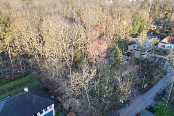 Bouwgrond
                            te koop in Rotselaar