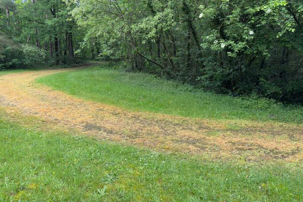 Grond te koop / Genk