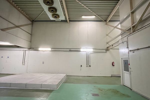 Industrieel te huur / Maasmechelen