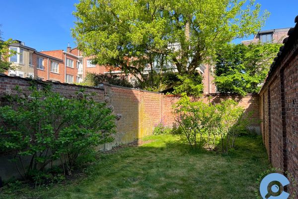 Appartement te huur / Berchem