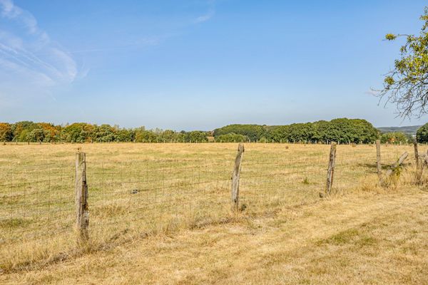 Huis te koop / Molenbeek-Wersbeek