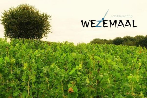 Wezemaal