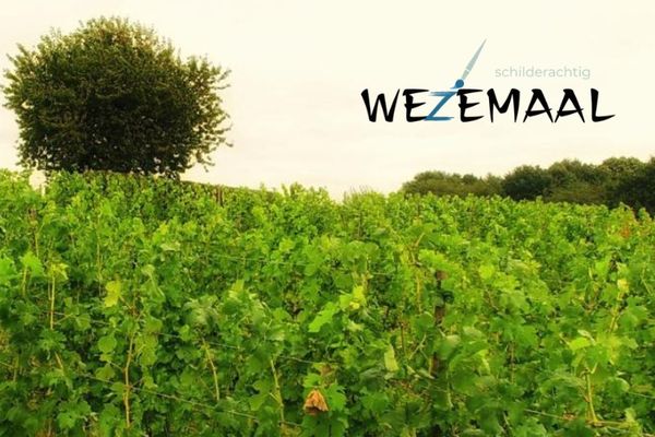 Wezemaal