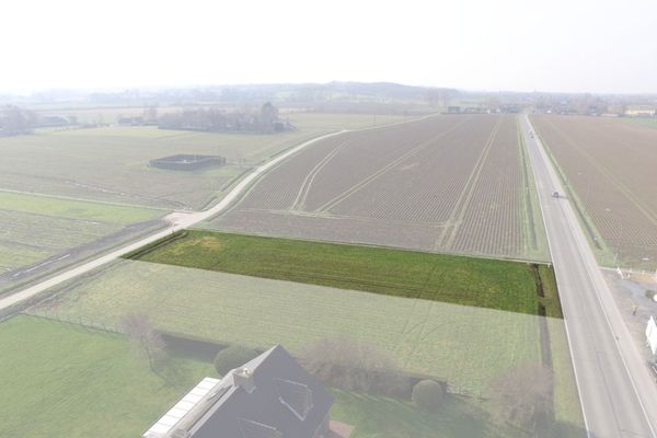 Grond te koop / Oudenaarde