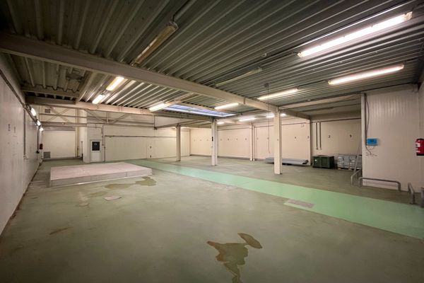 Industrieel te huur / Maasmechelen