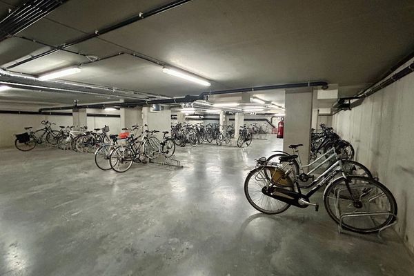 Appartement te koop / Leuven