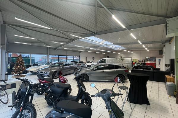 Industrieel te koop / Tessenderlo