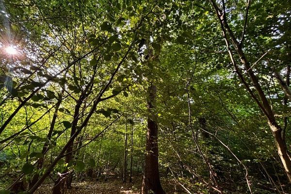 Grond optie koop / Kersbeek-Miskom