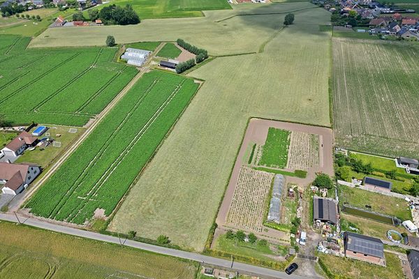 Landbouwgrond
                            te koop in Lichtervelde