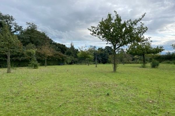 Grond te koop / Loksbergen