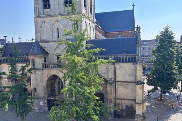 Appartement te huur / Hasselt