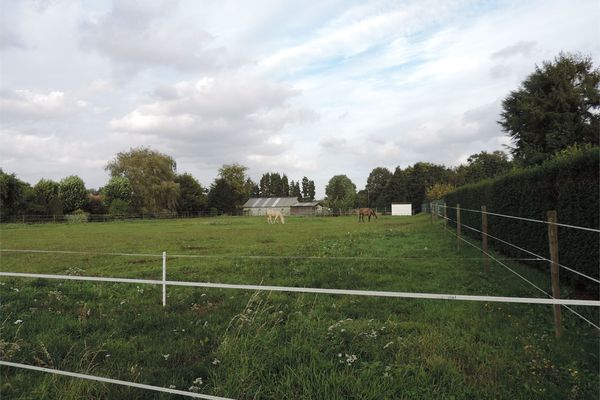 Grond verkocht / Koersel