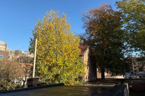 Appartement te koop / Leuven