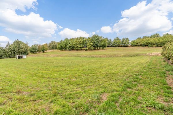 Overige te koop / Halen