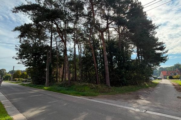 Grond
                                te koop
                                in Langdorp