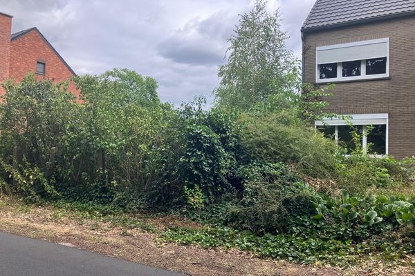 Grond te koop / Paal
