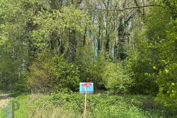 Bosgrond
                            verkocht in Balegem