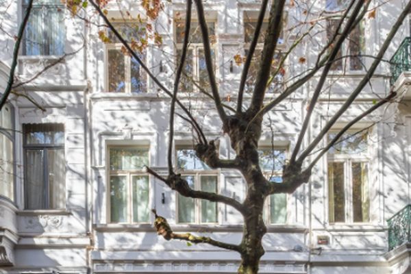 Huis te koop / Antwerpen
