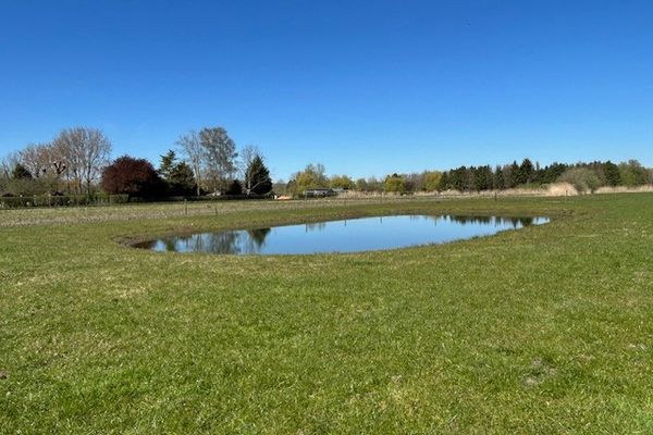 Recreatiegrond
                            optie koop in Moerzeke