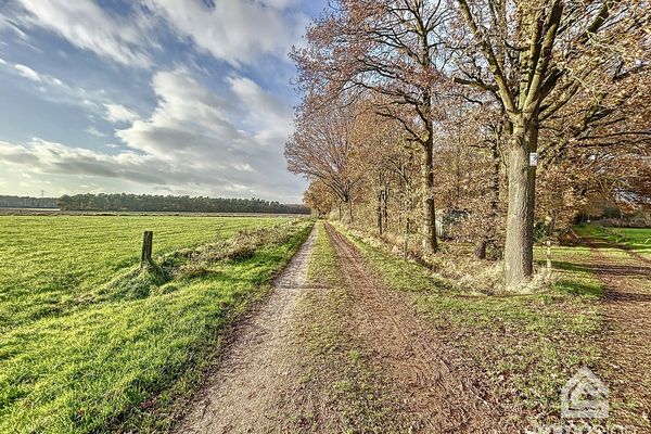Bosgrond
                            te koop in Bocholt