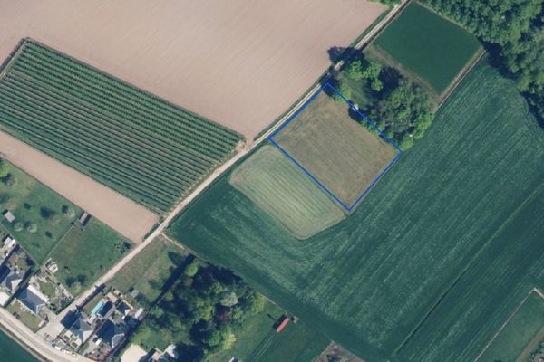 Grond te koop / Wellen