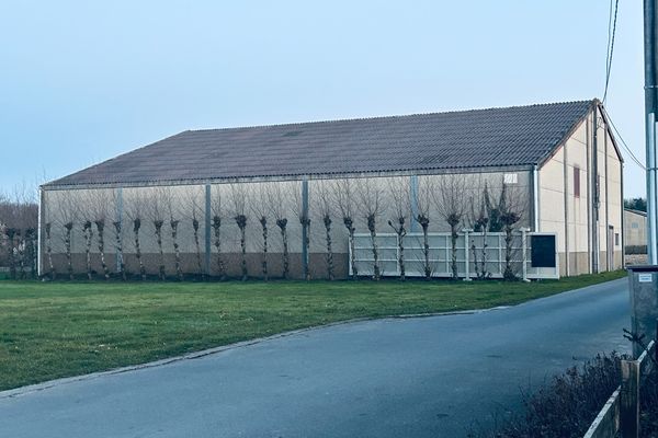 Magazijn
                                te huur in Harelbeke