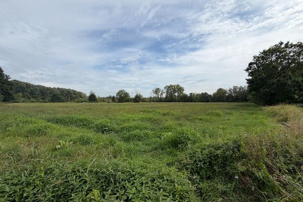 Landbouwgrond
                            te koop in Mol