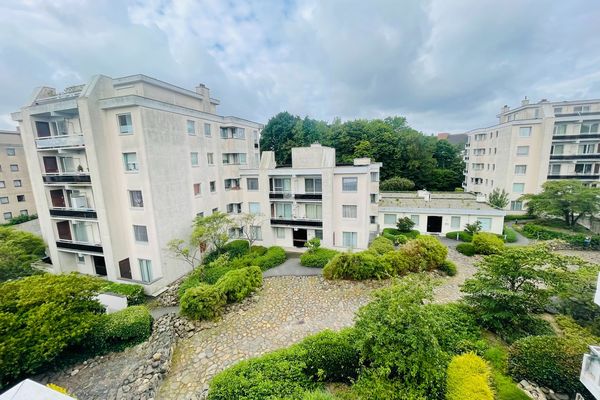 Appartement te koop / Assebroek