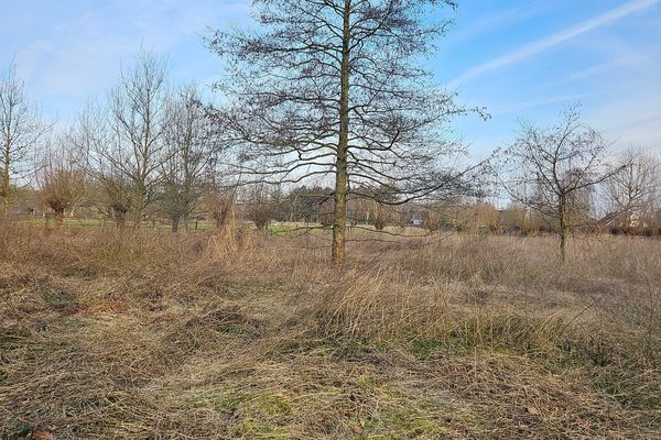 Grond
                                te koop
                                in Maldegem