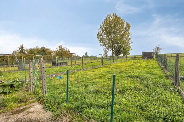 Huis te koop / Nederhasselt